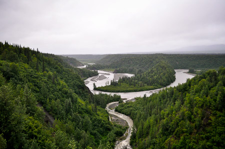 Dinsdag 2 augsutus - Panoramische Wilderness Express treinrit naar Denali