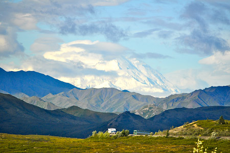 Woensdag 3 augsutus - Tundra Wilderness Tour diep in het Denali National Park, op zoek naar oa rendieren en beren