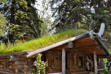 Donderdag 4 augustus - Boottocht op de rivieren Chena en Tanana langs o.a. Het Chena indianendorp.