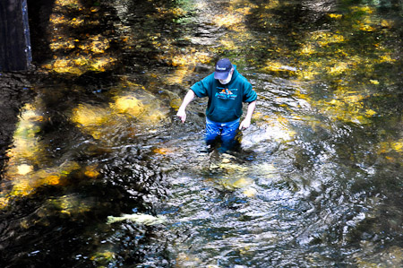 Woensdag 10 augustus 2011 - Met mooi weer wandelen we in Ketchikan door Creek Street en Ketchikan Creek naar de Deer Mountain