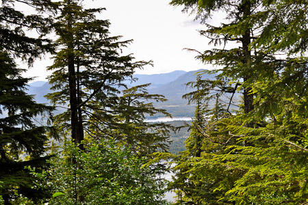 Woensdag 10 augustus 2011 - Met mooi weer wandelen we in Ketchikan door Creek Street en Ketchikan Creek naar de Deer Mountain