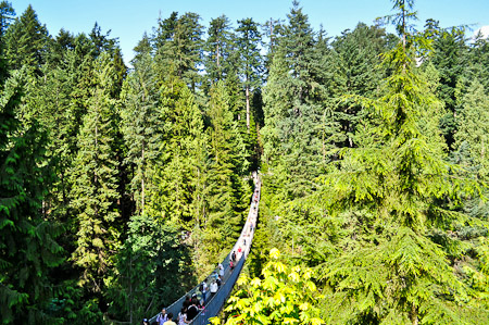 Vrijdag 12 augustus 2011 -  Vancouver, British Columbia...Capilano Park waar we over de Capilano Suspension Bridge hoog in de bomen wandelen