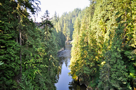 Vrijdag 12 augustus 2011 -  Vancouver, British Columbia...Capilano Park waar we over de Capilano Suspension Bridge hoog in de bomen wandelen