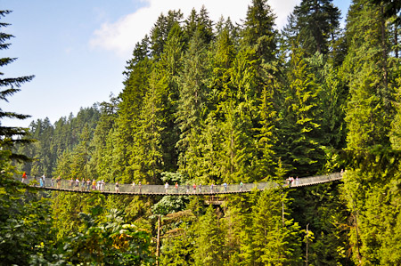 Vrijdag 12 augustus 2011 -  Vancouver, British Columbia...Capilano Park waar we over de Capilano Suspension Bridge hoog in de bomen wandelen