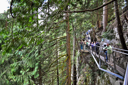 Vrijdag 12 augustus 2011 -  Vancouver, British Columbia...Capilano Park waar we over de Capilano Suspension Bridge hoog in de bomen wandelen