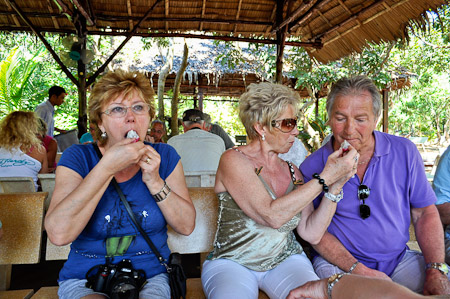 Zaterdag 26 februari 2011 - In de Mekong delta - Vietnam