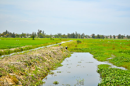 Maandag 28 februari 2011 - Da Nang - Hoi An - Vietnam