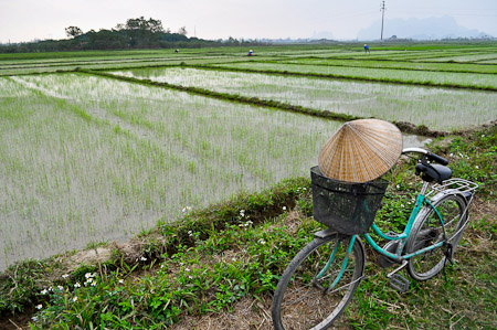 Woensdag 2 maart 2011 - Ha Noi - Vietnam