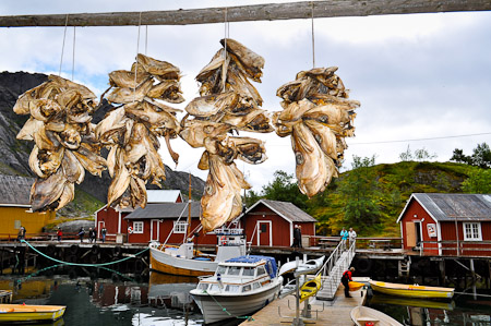 Woensdag 13 juli 2011 - verkenning van de Lofoten