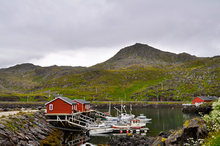 Zondag 17 juli 2011 - excursie vanuit Honningsvag naar de Noordkaap