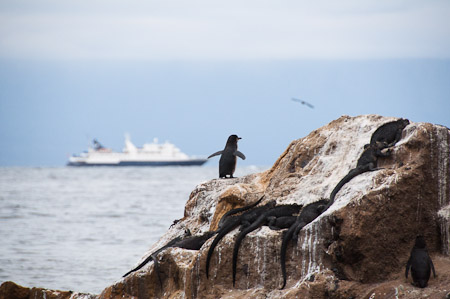 Galapagos Cruise - november 2013